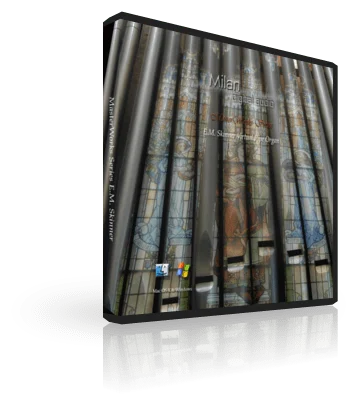 DVD-box-Skinner